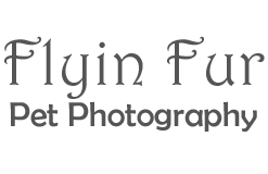 Flyin Fur Pet Photography